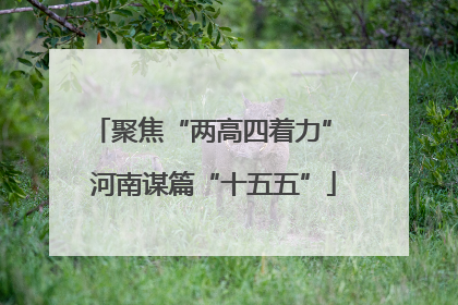 聚焦“两高四着力” 河南谋篇“十五五”