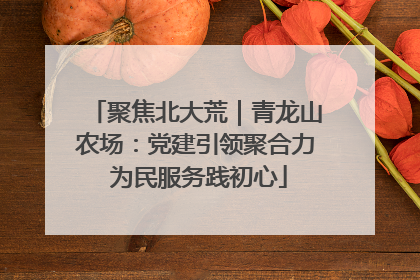 聚焦北大荒｜青龙山农场：党建引领聚合力 为民服务践初心