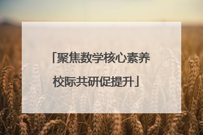 聚焦数学核心素养 校际共研促提升