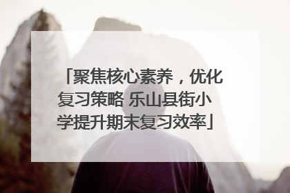 聚焦核心素养，优化复习策略 乐山县街小学提升期末复习效率