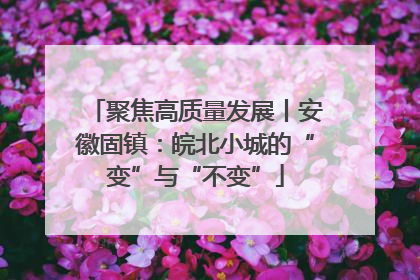 聚焦高质量发展丨安徽固镇：皖北小城的“变”与“不变”