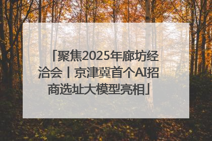 聚焦2025年廊坊经洽会丨京津冀首个AI招商选址大模型亮相