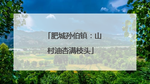 肥城孙伯镇：山村油杏满枝头