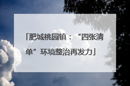 肥城桃园镇：“四张清单”环境整治再发力