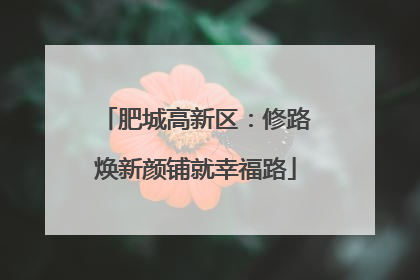 肥城高新区：修路焕新颜铺就幸福路