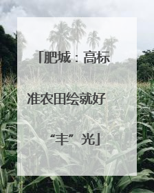 肥城：高标准农田绘就好“丰”光