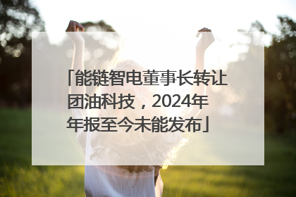 能链智电董事长转让团油科技，2024年年报至今未能发布