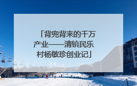 背兜背来的千万产业——清镇民乐村杨敏珍创业记