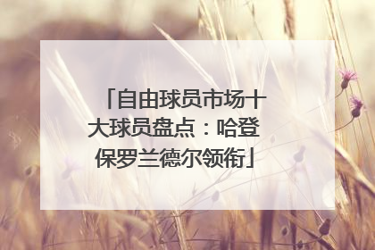 自由球员市场十大球员盘点：哈登保罗兰德尔领衔
