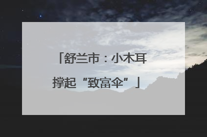 舒兰市：小木耳撑起“致富伞”