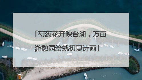 芍药花开映台湖，万亩游憩园绘就初夏诗画