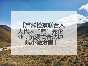 芦淞检察联合人大代表“典”亮企业，沉浸式普法护航小微发展