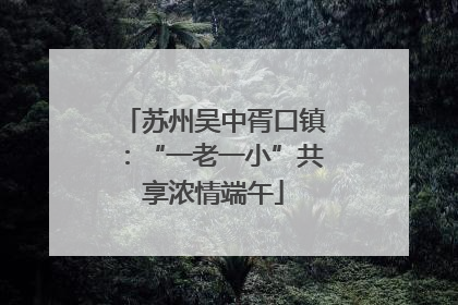 苏州吴中胥口镇：“一老一小”共享浓情端午