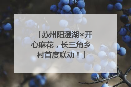 苏州阳澄湖×开心麻花，长三角乡村首度联动！