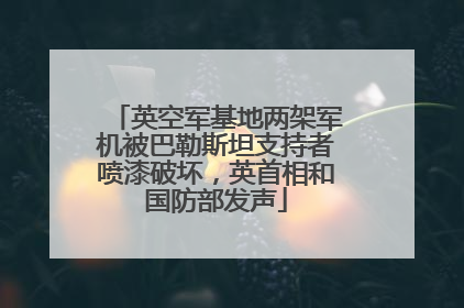 英空军基地两架军机被巴勒斯坦支持者喷漆破坏，英首相和国防部发声