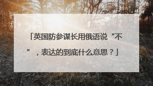 英国防参谋长用俄语说“不”，表达的到底什么意思？