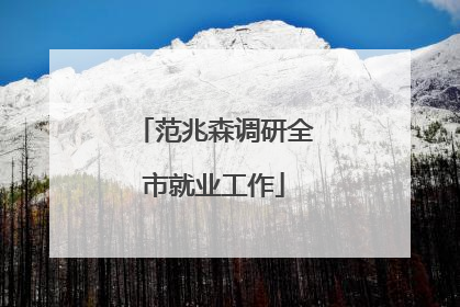 范兆森调研全市就业工作