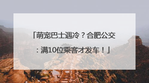 萌宠巴士遇冷？合肥公交：满10位乘客才发车！