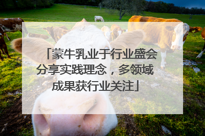 蒙牛乳业于行业盛会分享实践理念，多领域成果获行业关注