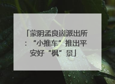 蒙阴孟良崮派出所：“小推车”推出平安好“枫”景