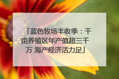 蓝色牧场丰收季：千亩养殖区年产值超三千万 海产经济活力足