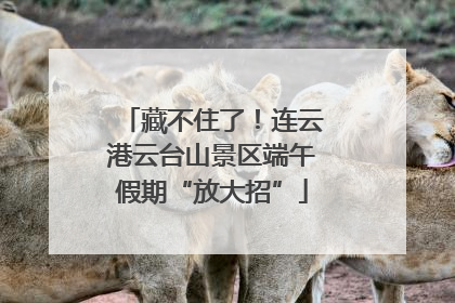 藏不住了！连云港云台山景区端午假期“放大招”