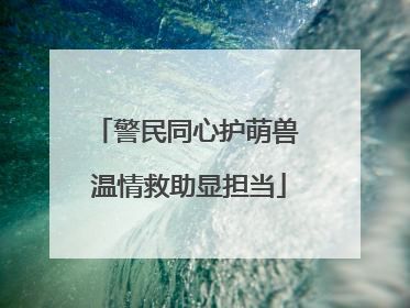 警民同心护萌兽 温情救助显担当