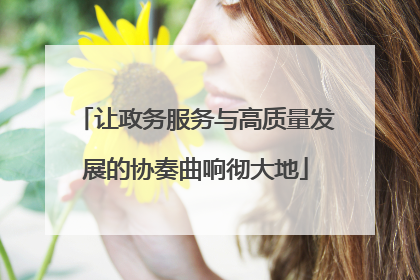 让政务服务与高质量发展的协奏曲响彻大地