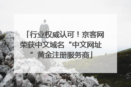 行业权威认可！京客网荣获中文域名“中文网址”黄金注册服务商