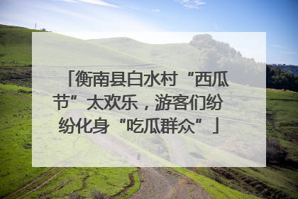 衡南县白水村“西瓜节”太欢乐，游客们纷纷化身“吃瓜群众”