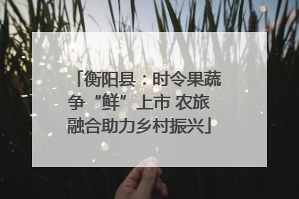 衡阳县：时令果蔬争“鲜”上市 农旅融合助力乡村振兴