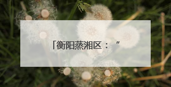 衡阳蒸湘区：“爱心妈妈”托起困境儿童别样童年