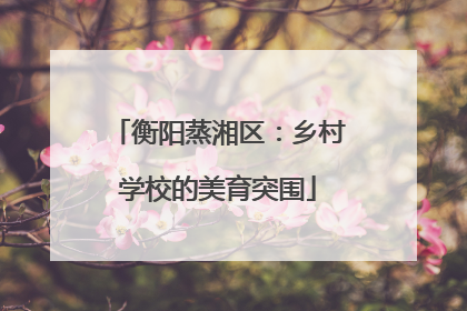 衡阳蒸湘区：乡村学校的美育突围