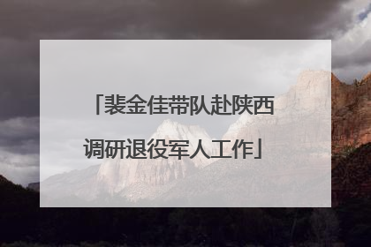 裴金佳带队赴陕西调研退役军人工作