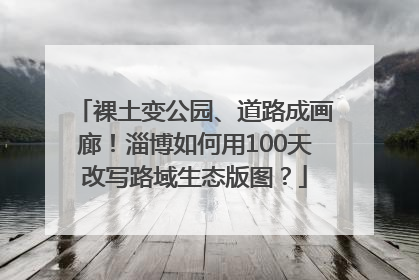 裸土变公园、道路成画廊！淄博如何用100天改写路域生态版图？