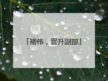 褚伟，晋升副部