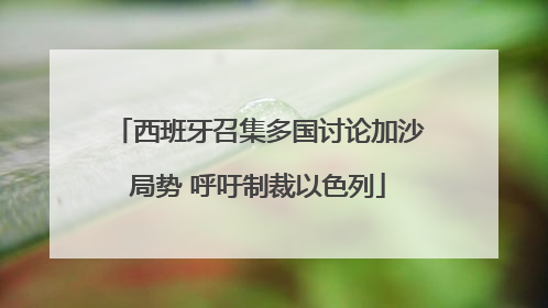西班牙召集多国讨论加沙局势 呼吁制裁以色列