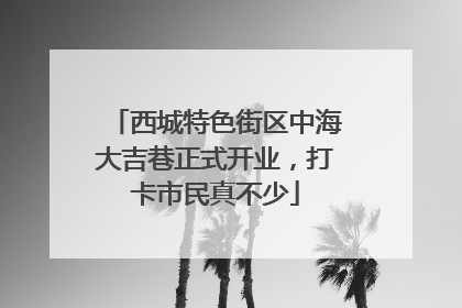 西城特色街区中海大吉巷正式开业，打卡市民真不少