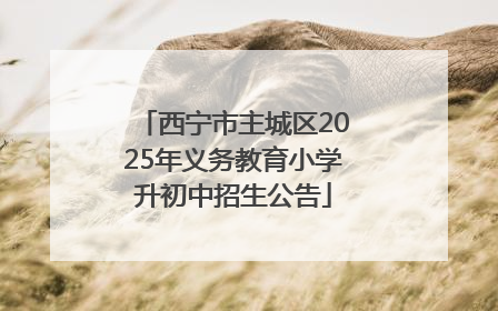西宁市主城区2025年义务教育小学升初中招生公告