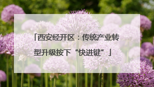 西安经开区：传统产业转型升级按下“快进键”
