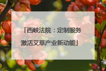 西峡法院：定制服务激活艾草产业新动能