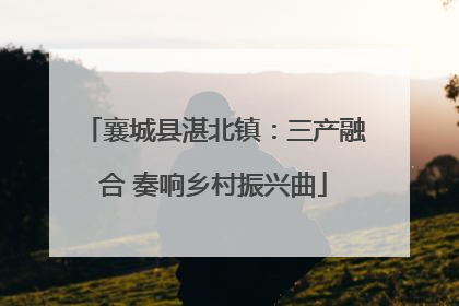 襄城县湛北镇：三产融合 奏响乡村振兴曲