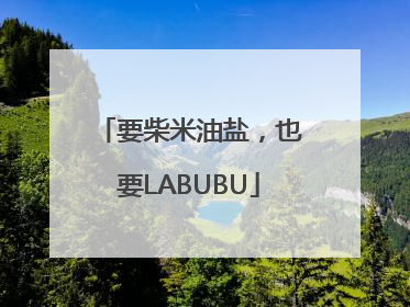 要柴米油盐，也要LABUBU
