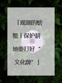 观潮的螃蟹丨保护耕地要打好“文化牌”