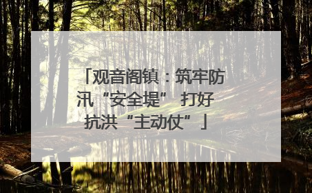 观音阁镇：筑牢防汛“安全堤” 打好抗洪“主动仗”