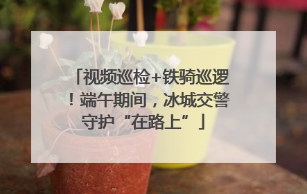 视频巡检+铁骑巡逻！端午期间，冰城交警守护“在路上”