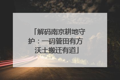 解码南京耕地守护：一码管田有方 沃土搬迁有道