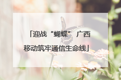 迎战“蝴蝶” 广西移动筑牢通信生命线