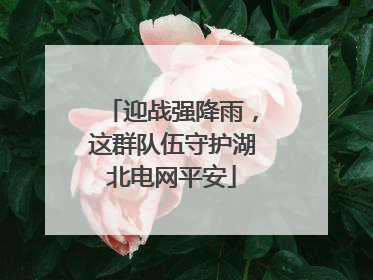 迎战强降雨，这群队伍守护湖北电网平安