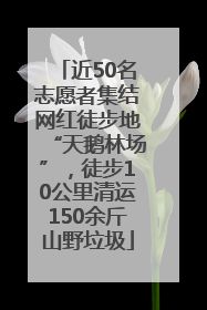近50名志愿者集结网红徒步地“天鹅林场”，徒步10公里清运150余斤山野垃圾